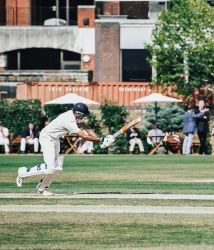 zyx 4254mp zyx 4254mp