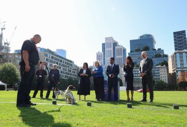 54774024870 de2f1d60ce c 54774024870 de2f1d60ce c